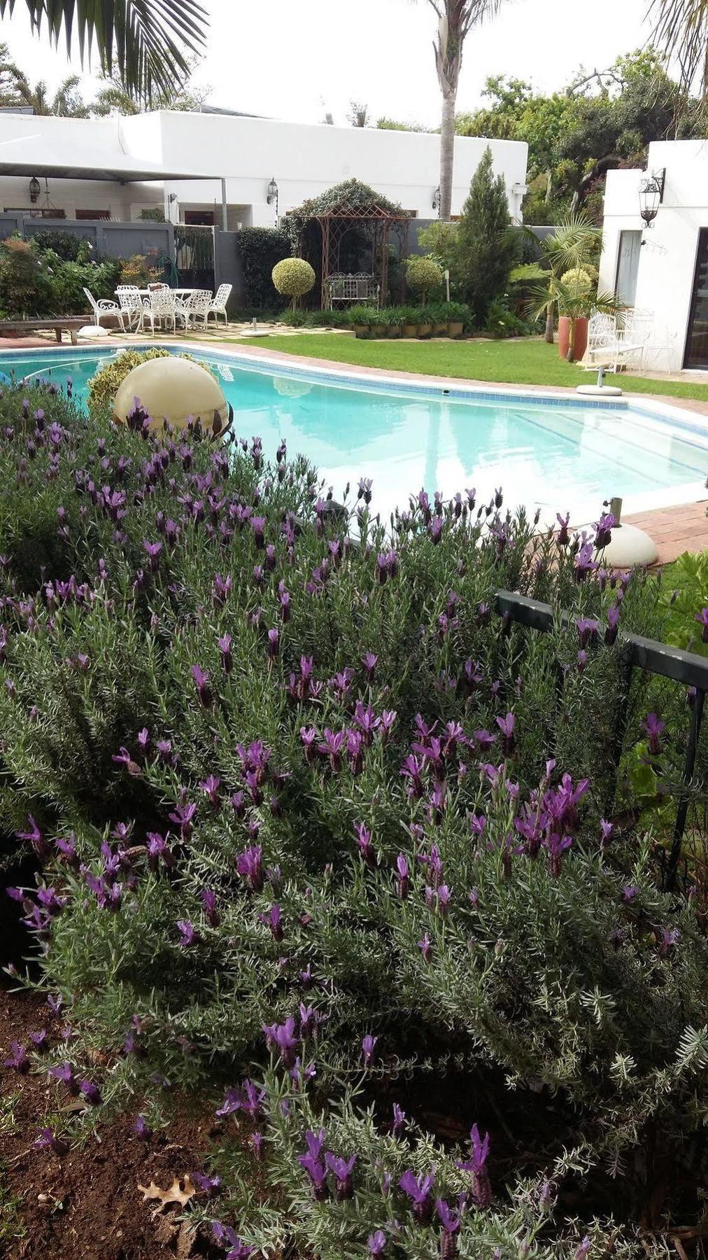 Cape Pillars Boutique Hotel Durbanville Eksteriør billede